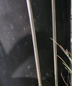 Godbit skål - Ny forbedret type